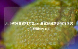 天下彩免费资料大全com 星空综合解答解释落实_白银版2024.11.07