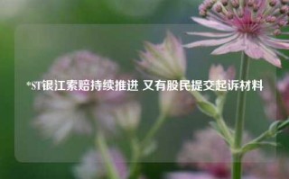 *ST银江索赔持续推进 又有股民提交起诉材料