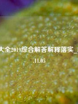 免费资料大全2019综合解答解释落实_白银版2024.11.05