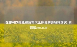 在哪可以找免费资料大全综合解答解释落实_青铜版2024.11.01