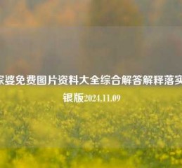 管家婆免费图片资料大全综合解答解释落实_白银版2024.11.09