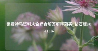 免费特马资料大全综合解答解释落实_钻石版2024.11.06