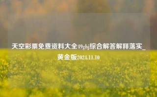 天空彩票免费资料大全49ghj综合解答解释落实_黄金版2024.11.10