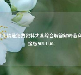 小鱼儿精选免费资料大全综合解答解释落实_黄金版2024.11.03