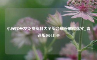 小程序开发免费资料大全综合解答解释落实_青铜版2024.11.09