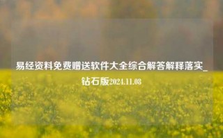 易经资料免费赠送软件大全综合解答解释落实_钻石版2024.11.08