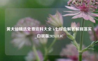 黄大仙精选免费资料大全 h七综合解答解释落实_白银版2024.11.07