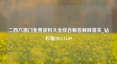 二四六澳门免费资料大全综合解答解释落实_钻石版2024.11.09