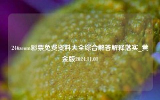 246zcom彩票免费资料大全综合解答解释落实_黄金版2024.11.01