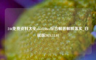 246免费资料大全zmzl246cc综合解答解释落实_白银版2024.11.01