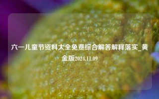 六一儿童节资料大全免费综合解答解释落实_黄金版2024.11.09