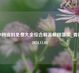 喜中网资料免费大全综合解答解释落实_青铜版2024.11.03