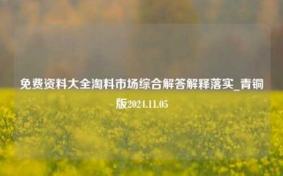 免费资料大全淘料市场综合解答解释落实_青铜版2024.11.05