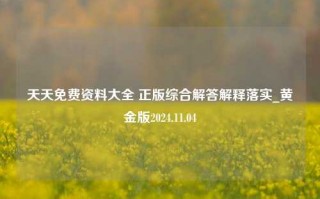 天天免费资料大全 正版综合解答解释落实_黄金版2024.11.04