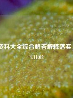 金码免费资料大全综合解答解释落实_白银版2024.11.02