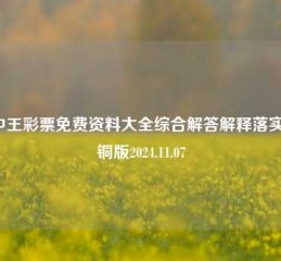 王中王彩票免费资料大全综合解答解释落实_青铜版2024.11.07