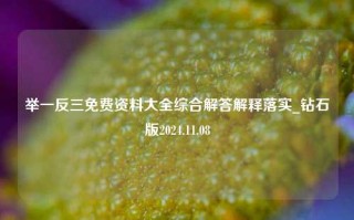 举一反三免费资料大全综合解答解释落实_钻石版2024.11.08