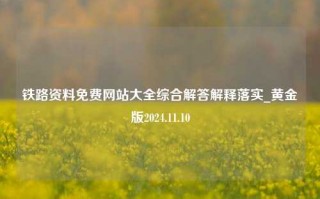 铁路资料免费网站大全综合解答解释落实_黄金版2024.11.10