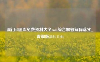 澳门49图库免费资料大全com综合解答解释落实_青铜版2024.11.04