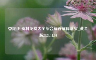 香港正 资料免费大全综合解答解释落实_黄金版2024.11.10