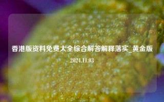 香港版资料免费大全综合解答解释落实_黄金版2024.11.03