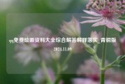 qq免费绘画资料大全综合解答解释落实_青铜版2024.11.09