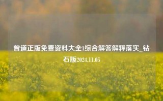 曾道正版免费资料大全1综合解答解释落实_钻石版2024.11.05