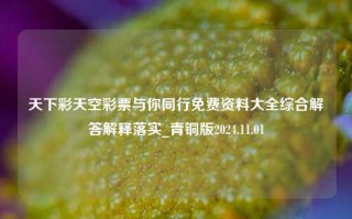 天下彩天空彩票与你同行免费资料大全综合解答解释落实_青铜版2024.11.01