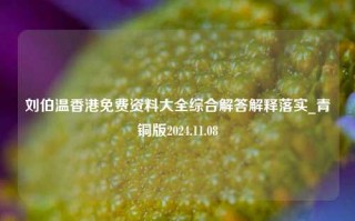 刘伯温香港免费资料大全综合解答解释落实_青铜版2024.11.08