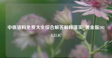 中医资料免费大全综合解答解释落实_黄金版2024.11.07