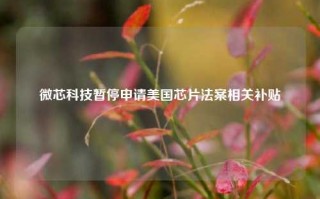 微芯科技暂停申请美国芯片法案相关补贴