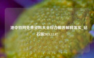 昋港中特网免费资料大全综合解答解释落实_钻石版2024.11.07