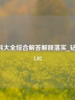 20免费资料大全综合解答解释落实_钻石版2024.11.02