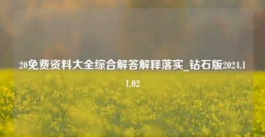 20免费资料大全综合解答解释落实_钻石版2024.11.02