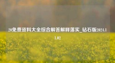 20免费资料大全综合解答解释落实_钻石版2024.11.02