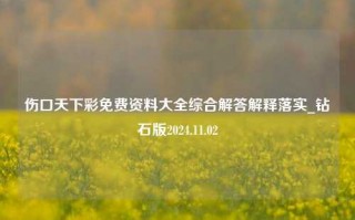 伤口天下彩免费资料大全综合解答解释落实_钻石版2024.11.02