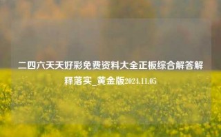 二四六天天好彩免费资料大全正板综合解答解释落实_黄金版2024.11.05