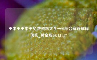 王中王王中王免费资料大全一98综合解答解释落实_黄金版2024.11.07