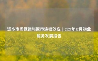 资本市场低迷与退市连锁效应 | 2024年12月物业服务发展报告