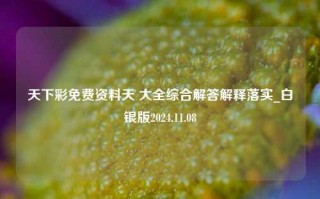 天下彩免费资料天 大全综合解答解释落实_白银版2024.11.08