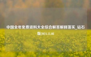 中国全年免费资料大全综合解答解释落实_钻石版2024.11.08