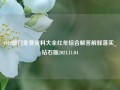 4949澳门免费资料大全红年综合解答解释落实_钻石版2024.11.04