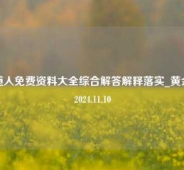 增道人免费资料大全综合解答解释落实_黄金版2024.11.10