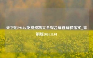 天下彩9944cc免费资料大全综合解答解释落实_青铜版2024.11.04