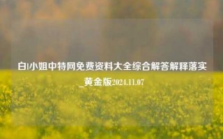 白l小姐中特网免费资料大全综合解答解释落实_黄金版2024.11.07