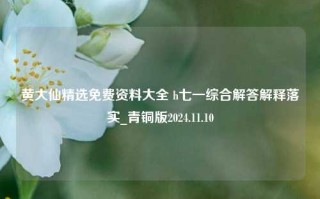 黄大仙精选免费资料大全 h七一综合解答解释落实_青铜版2024.11.10