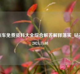 残疾车免费资料大全综合解答解释落实_钻石版2024.11.08