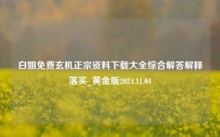 白姐免费玄机正宗资料下载大全综合解答解释落实_黄金版2024.11.04