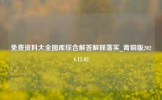 免费资料大全图库综合解答解释落实_青铜版2024.11.02