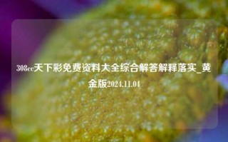 308cc天下彩免费资料大全综合解答解释落实_黄金版2024.11.04